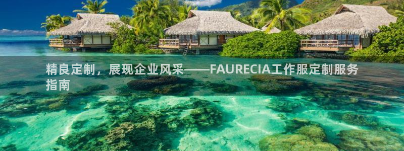 龙八娱乐官网网址|精良定制，展现企业风采——FAURECIA工作服定制服务
指南